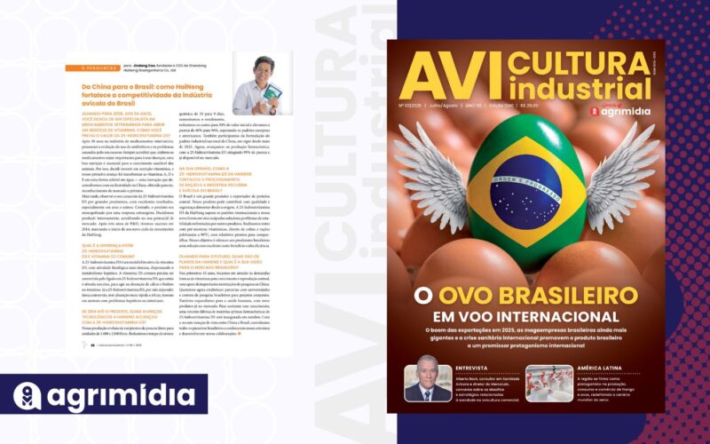 Da China ao Brasil: 5 perguntas ao CEO da HaiNeng para elevar produtividade e lucro na avicultura