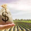 Desafios e Oportunidades: Como a Suspensão do Crédito no Plano Safra 2024/2025 Pode Transformar o Agronegócio!
