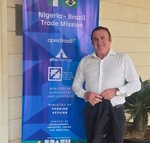 Desbravando a África: Como a Sindiavipar Está Transformando Oportunidades em Parcerias Lucrativas!