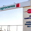 Descubra a Revolução na Genética Suína: Nova Unidade da Agroceres PIC no MS Impulsiona o Setor no Brasil