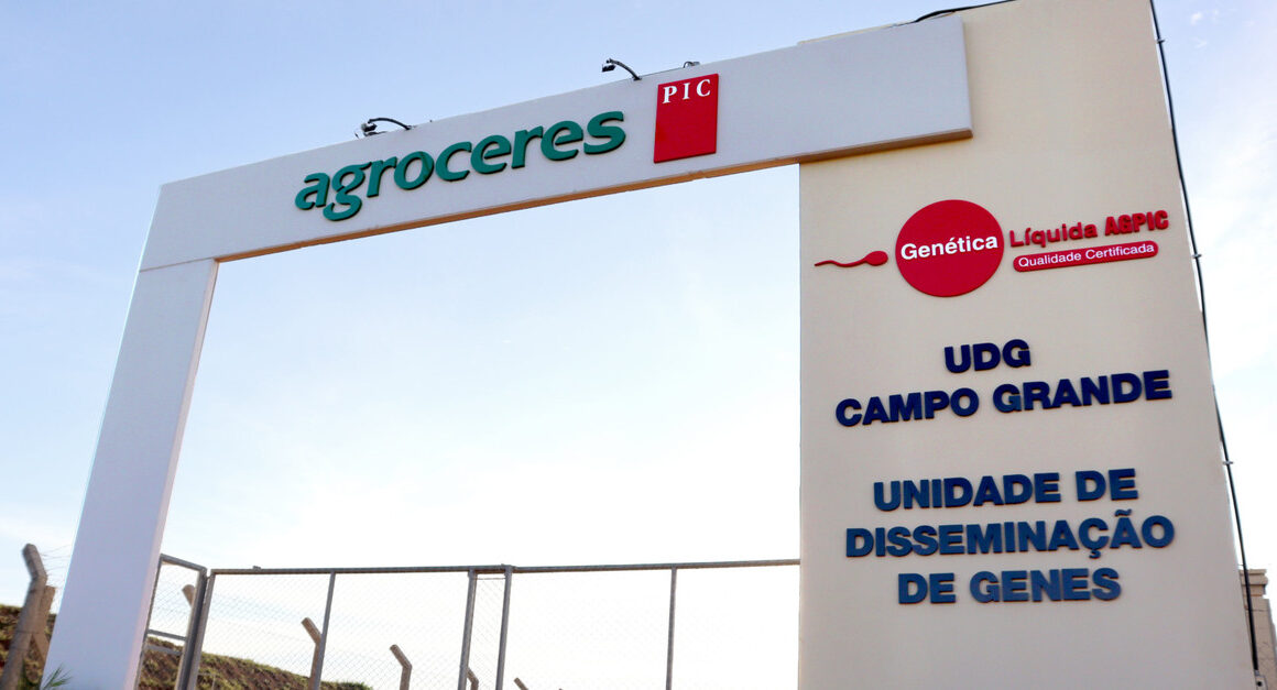 Descubra a Revolução na Genética Suína: Nova Unidade da Agroceres PIC no MS Impulsiona o Setor no Brasil