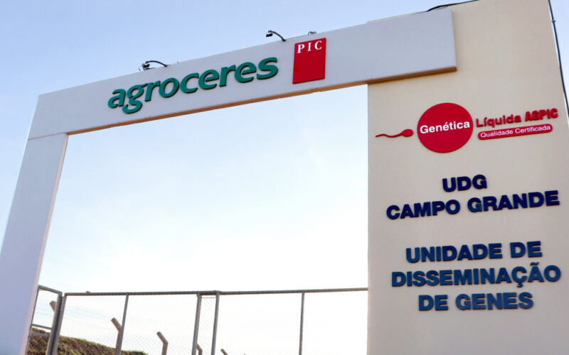 Descubra a Revolução na Genética Suína: Nova Unidade da Agroceres PIC no MS Impulsiona o Setor no Brasil