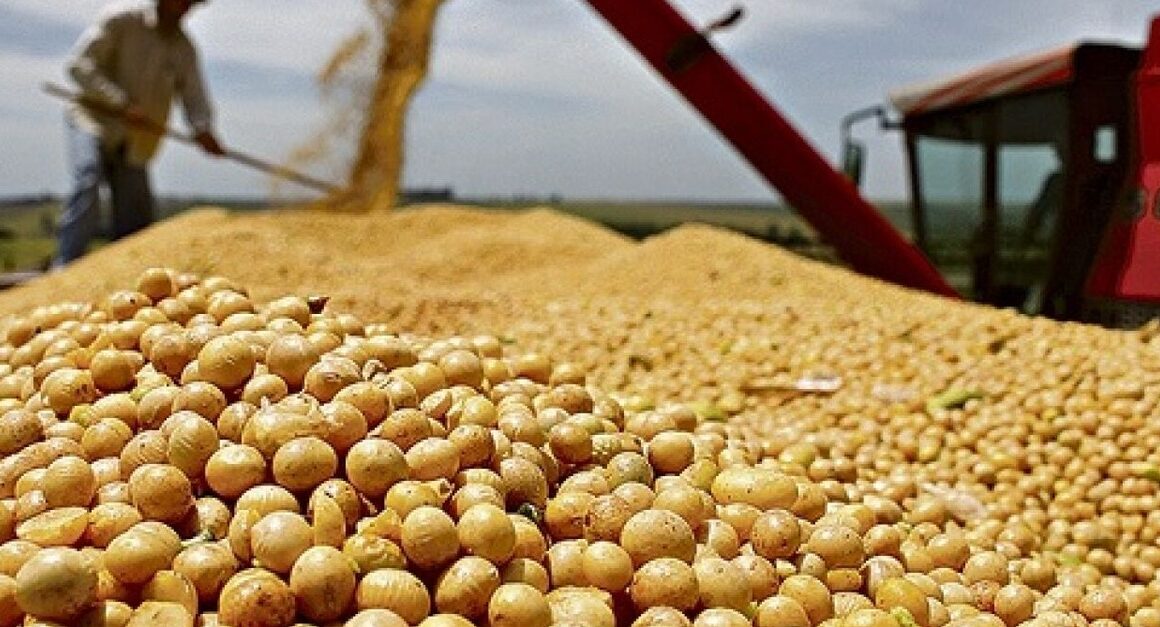 Descubra como a alta do câmbio está impulsionando os preços da soja e o que isso significa para você Descubra como a alta do câmbio está impulsionando os preços da soja e o que isso significa para você