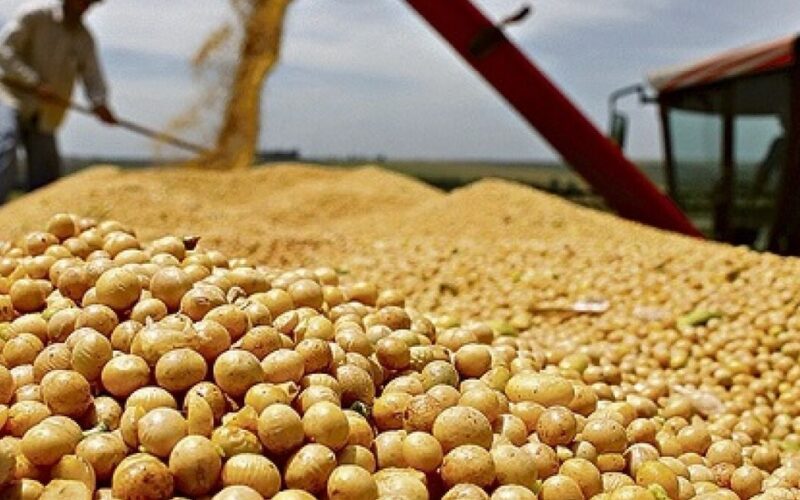 Descubra como a alta do câmbio está impulsionando os preços da soja e o que isso significa para você