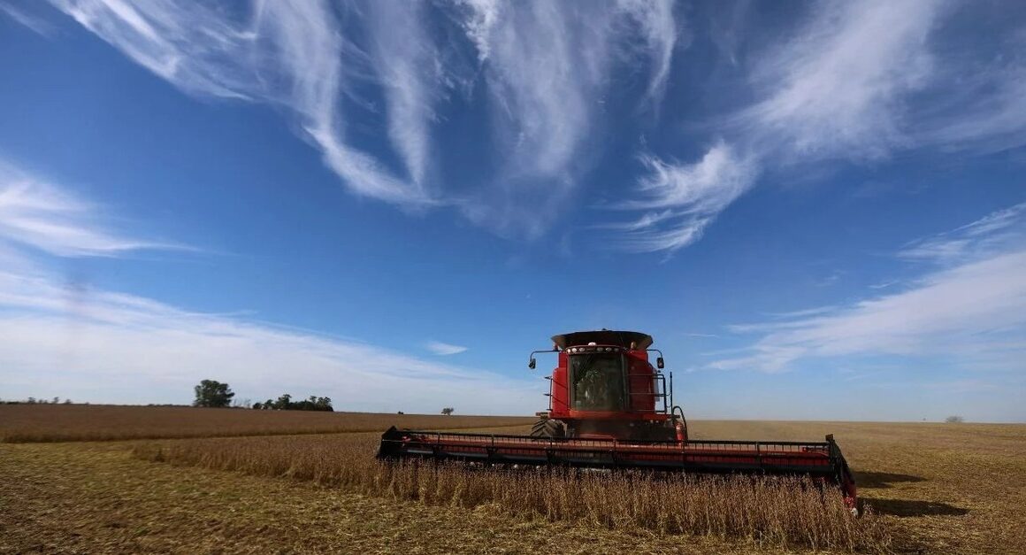 Descubra como a CNA e os Diplomatas da Agricultura do Brasil estão moldando o futuro do agronegócio
