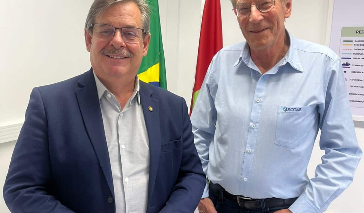 Descubra Como a Falta de Gás Natural no Oeste de SC Afeta o Crescimento e Competitividade Industrial