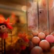 Descubra como as enzimas transformam a digestão de aminoácidos na nutrição animal e potencializam resultados