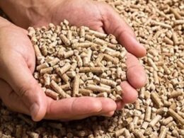 Descubra como o crescimento de 2,7% na produção de rações em 2024 pode transformar o mercado brasileiro