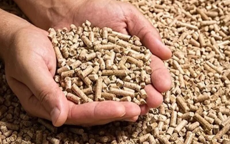 Descubra como o crescimento de 2,7% na produção de rações em 2024 pode transformar o mercado brasileiro