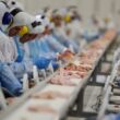 Descubra como o setor agro se transforma com o aumento de 125% em fusões e aquisições de empresas