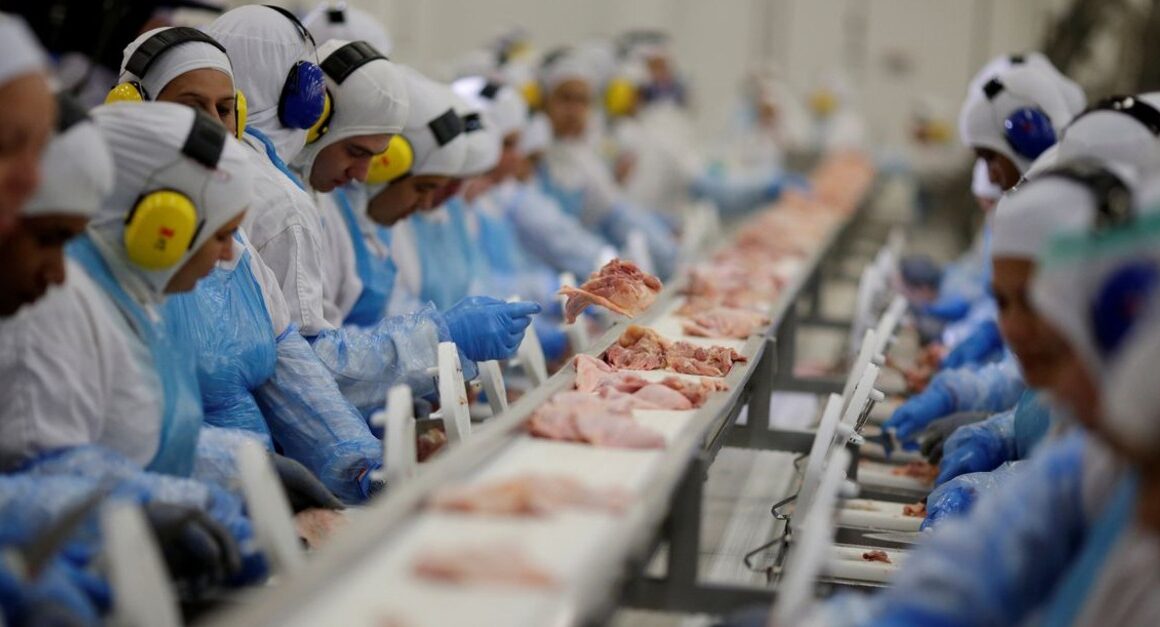 Descubra como o setor agro se transforma com o aumento de 125% em fusões e aquisições de empresas