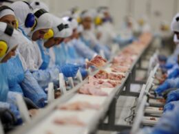 Descubra como o setor agro se transforma com o aumento de 125% em fusões e aquisições de empresas