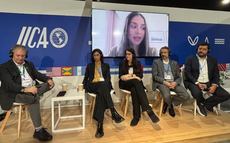 Descubra como os Escritórios Verdes da JBS estão revolucionando o apoio a produtores de grãos na COP29