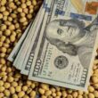 Em 2025: O Espetacular Salto da Soja com Surpresas que Ameaçam o Mercado!