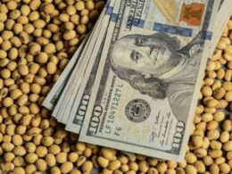 Em 2025: O Espetacular Salto da Soja com Surpresas que Ameaçam o Mercado!