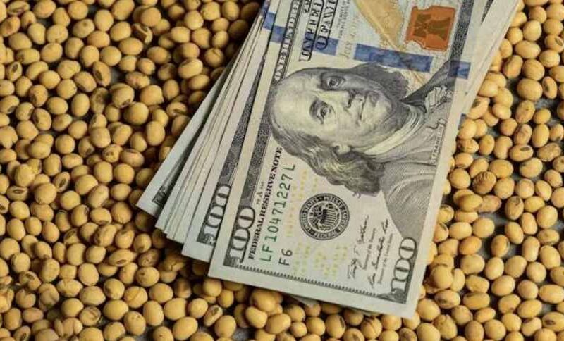 Em 2025: O Espetacular Salto da Soja com Surpresas que Ameaçam o Mercado!