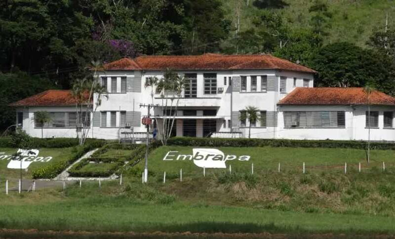 Embrapa em Apuros: Estratégias Inéditas para Reverter Déficit Milionário e Inovar a Agricultura