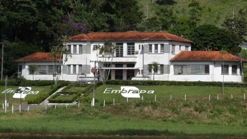 Embrapa em Apuros: Estratégias Inéditas para Reverter Déficit Milionário e Inovar a Agricultura