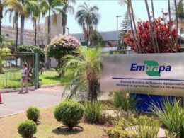 Embrapa Reforça Investimento: Orçamento Duplicado e Boa Notícia para o Setor Agro!