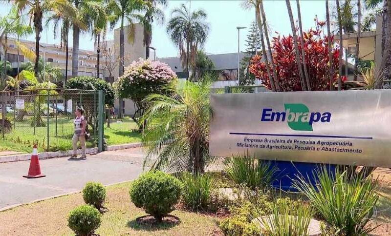 Embrapa Reforça Investimento: Orçamento Duplicado e Boa Notícia para o Setor Agro!