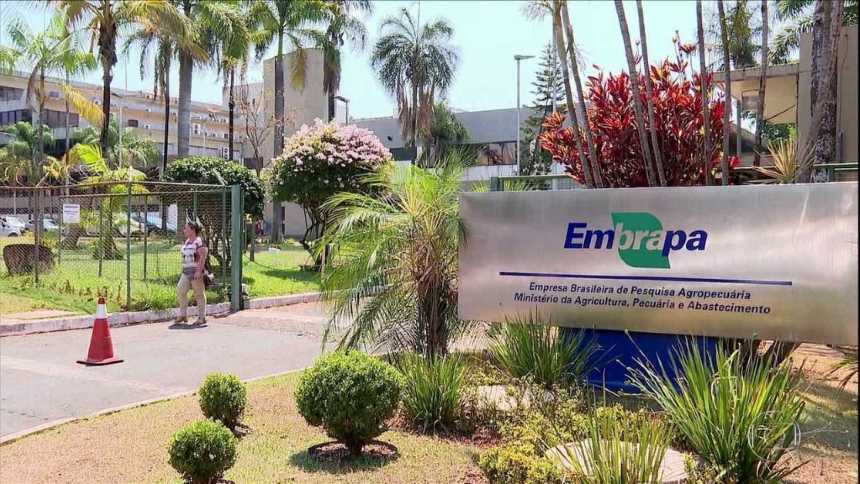 Embrapa Reforça Investimento: Orçamento Duplicado e Boa Notícia para o Setor Agro!