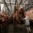 Exportação de carne bovina aos EUA sob análise, diz associação de frigoríficos