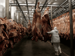 Exportação de carne bovina aos EUA sob análise, diz associação de frigoríficos