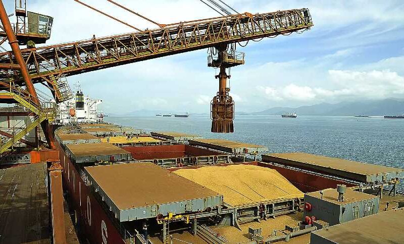 Exportação de Soja Dispara: Guerra Tarifária Abre Caminho para Produtores Brasileiros