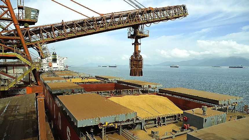 Exportação de Soja Dispara: Guerra Tarifária Abre Caminho para Produtores Brasileiros
