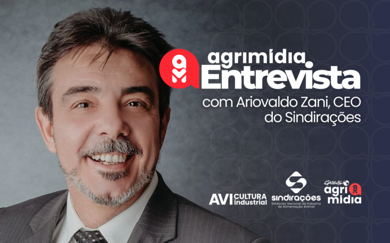 Exportações de Frango em Alta: Como Isso Revoluciona o Mercado de Ração Animal!