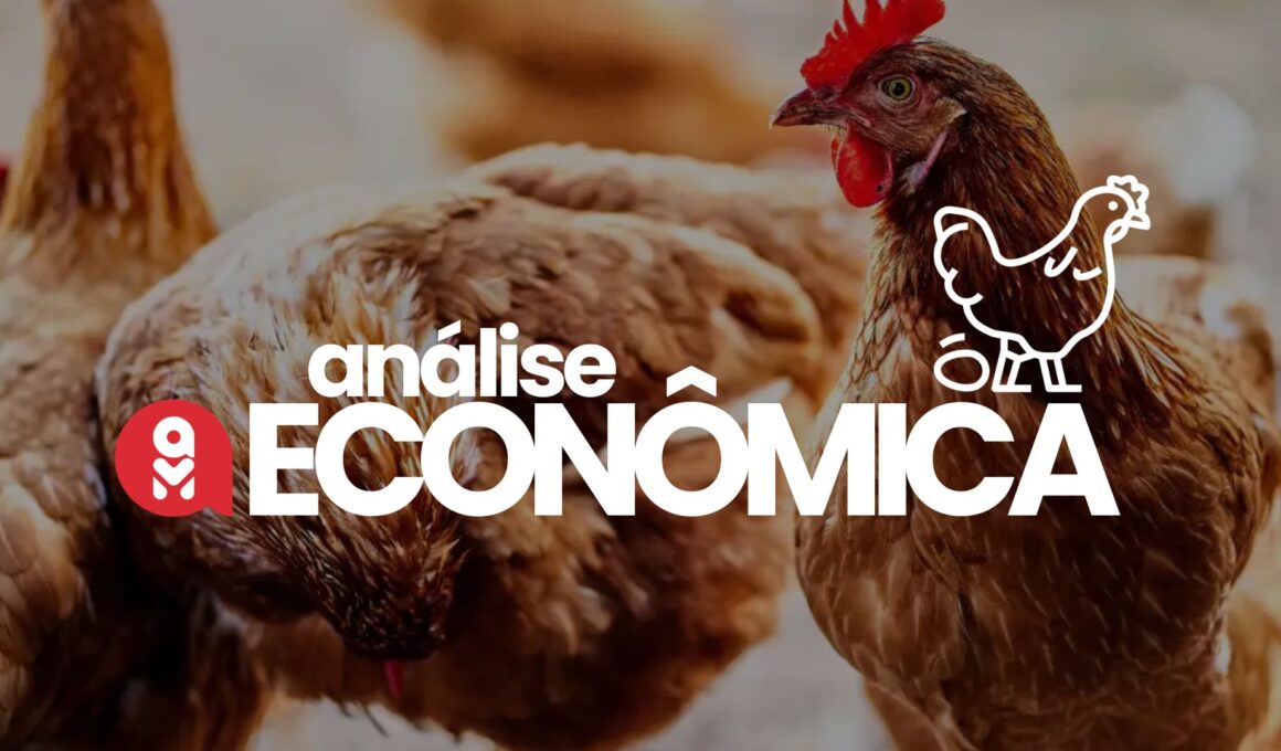Exportações em Alta: Como os Preços do Frango Disparam e Ovos Entram em uma Montanha-Russa de Demandas!