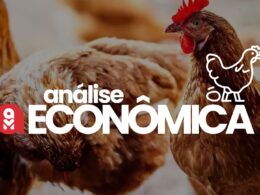 Exportações em Alta: Como os Preços do Frango Disparam e Ovos Entram em uma Montanha-Russa de Demandas!
