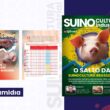Exportações recordes e margens em alta no 1º semestre: o momento de ouro da Suinocultura Industrial