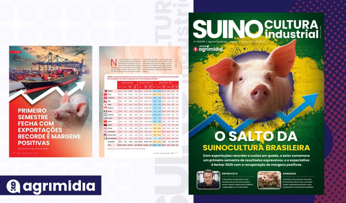 Exportações recordes e margens em alta no 1º semestre: o momento de ouro da Suinocultura Industrial Exportações recordes e margens em alta no 1º semestre: o momento de ouro da Suinocultura Industrial