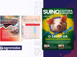 Exportações recordes e margens em alta no 1º semestre: o momento de ouro da Suinocultura Industrial