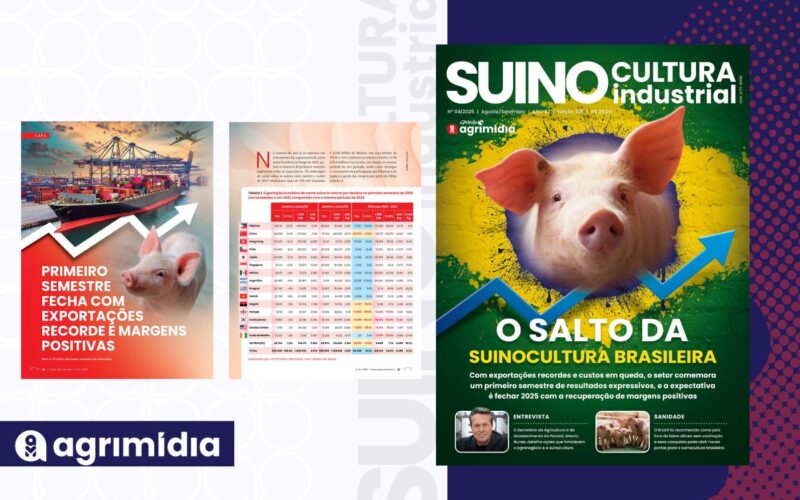 Exportações recordes e margens em alta no 1º semestre: o momento de ouro da Suinocultura Industrial