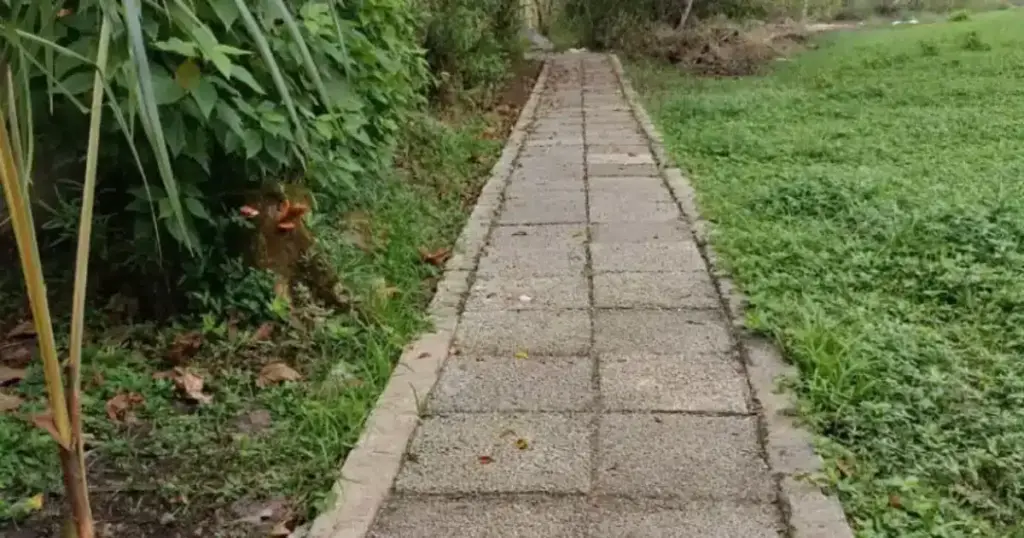 Fábrica de reciclagem de PET, idosos reciclam mais e pisos de plásticos reciclados3