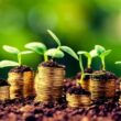 Falências Rurais nos EUA: O Que Está Por Trás do Colapso Agrícola em 2025?