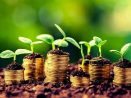 Falências Rurais nos EUA: O Que Está Por Trás do Colapso Agrícola em 2025?