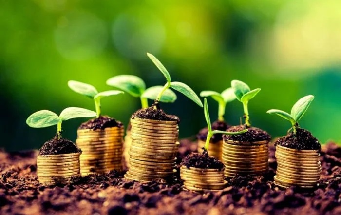 Falências Rurais nos EUA: O Que Está Por Trás do Colapso Agrícola em 2025?