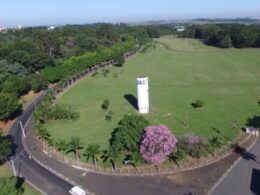 Feirão Agro 2025: Oferta Imperdível com Reservas Surpreendentes no Mercado de Imóveis Rurais de SP!