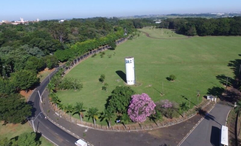Feirão Agro 2025: Oferta Imperdível com Reservas Surpreendentes no Mercado de Imóveis Rurais de SP!