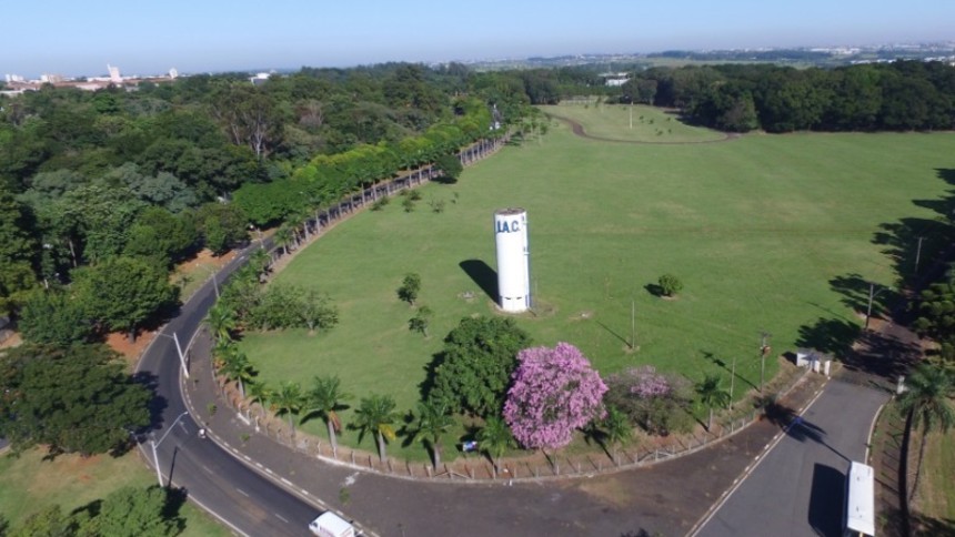 Feirão Agro 2025: Oferta Imperdível com Reservas Surpreendentes no Mercado de Imóveis Rurais de SP! Feirão Agro 2025: Oferta Imperdível com Reservas Surpreendentes no Mercado de Imóveis Rurais de SP!