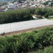 Feirão Imobiliário do Agro: Como Regiões Nobres de SP Estão Virando Ouro para Investidores