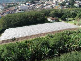 Feirão Imobiliário do Agro: Como Regiões Nobres de SP Estão Virando Ouro para Investidores