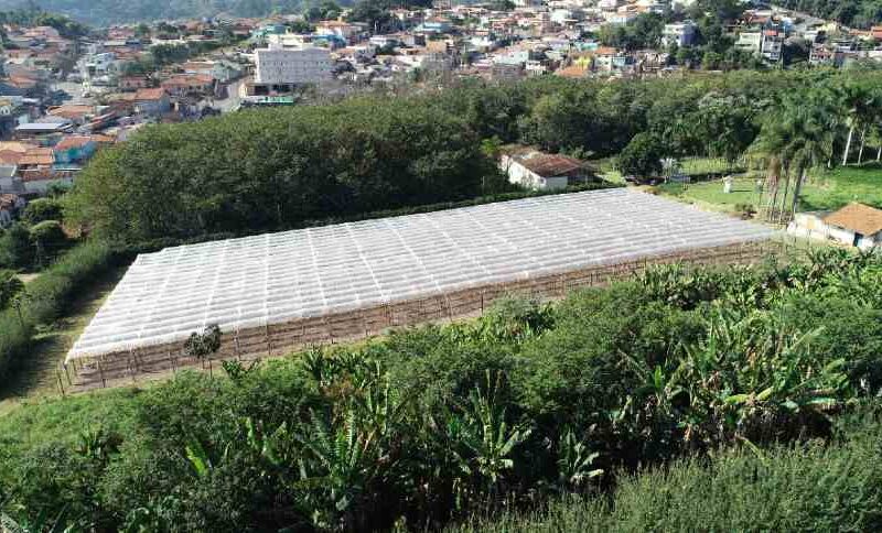 Feirão Imobiliário do Agro: Como Regiões Nobres de SP Estão Virando Ouro para Investidores