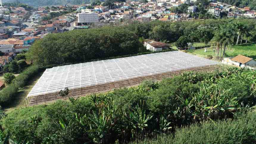 Feirão Imobiliário do Agro: Como Regiões Nobres de SP Estão Virando Ouro para Investidores