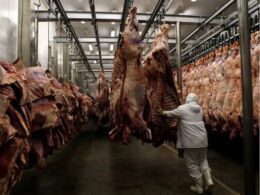 Fiscalização interdita frigorífico no AC por irregularidades e riscos