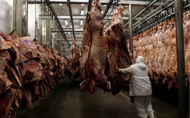 Fiscalização interdita frigorífico no AC por irregularidades e riscos Fiscalização interdita frigorífico no AC por irregularidades e riscos