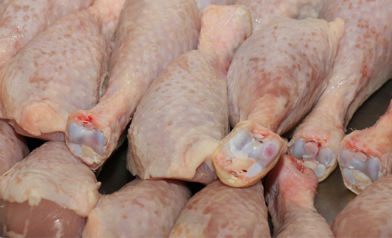 Frango Brasileiro em Alta: Jordânia e Kuwait Reabrem Mercado e Prometem Oportunidades Incríveis!